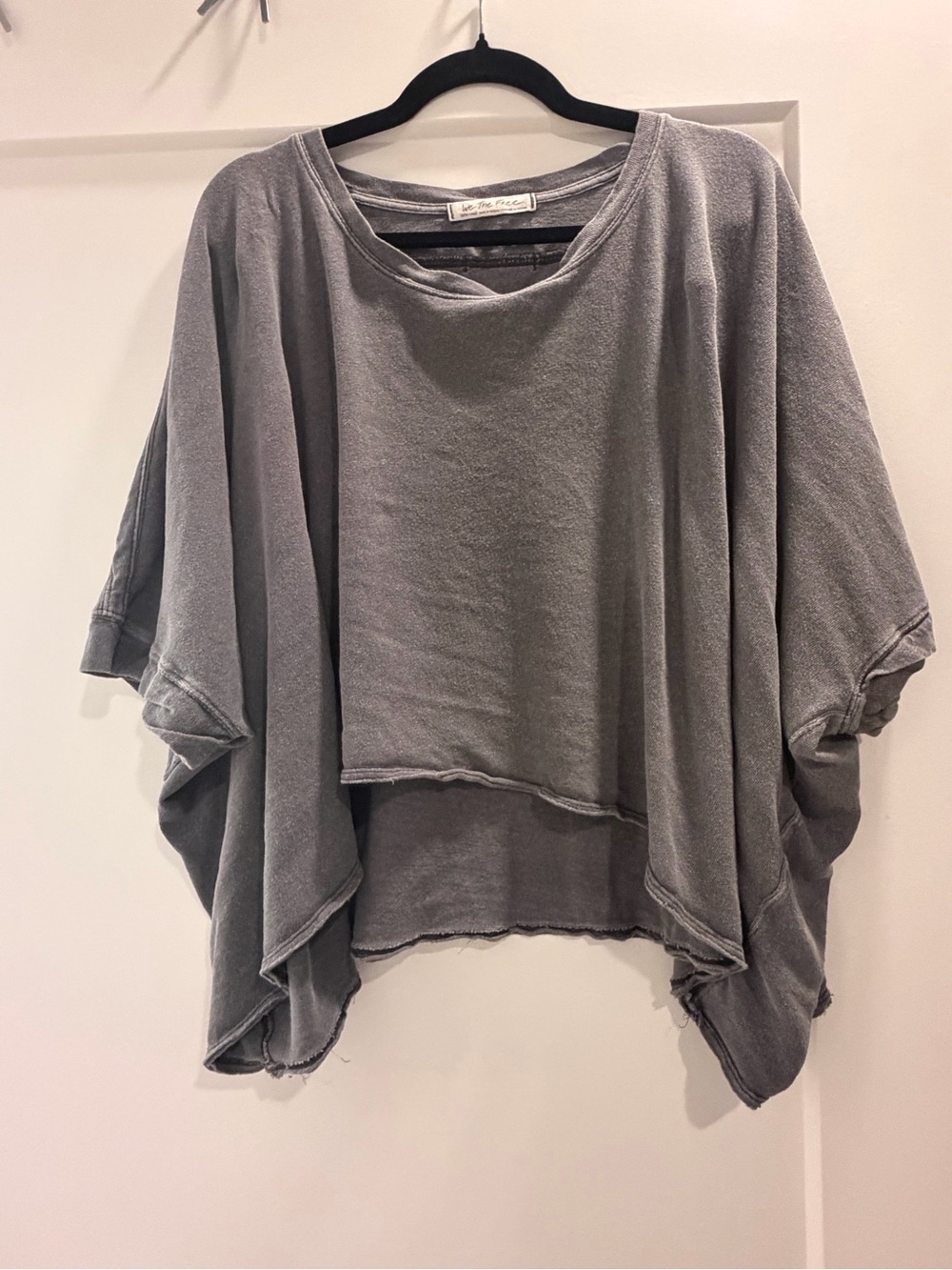 Free People Cropped Pullover Top